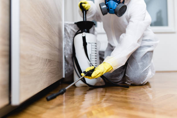Best Wasp Removal Services  in Washoe Valley, NV