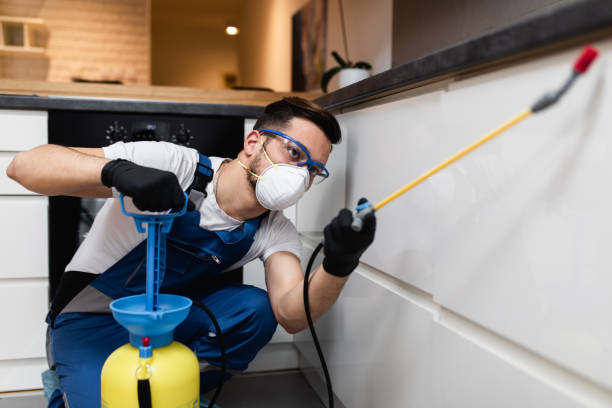 Best Exterminator Services  in Washoe Valley, NV