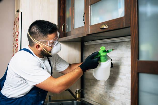 Best Flea Control Services  in Washoe Valley, NV
