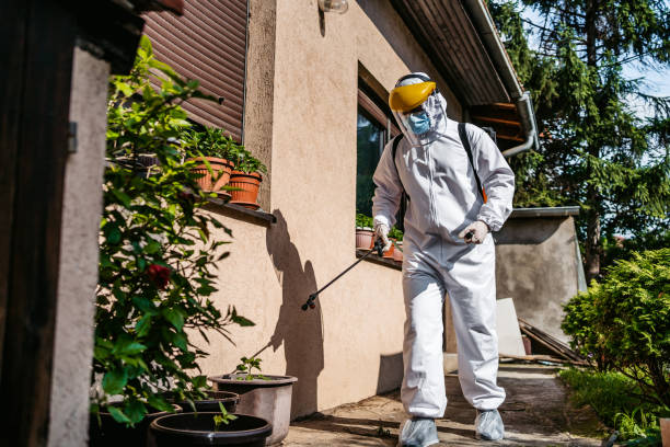 Best Pest Control Near Me in Washoe Valley, NV
