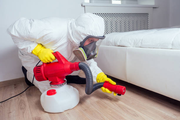 Best Termite Control Services  in Washoe Valley, NV