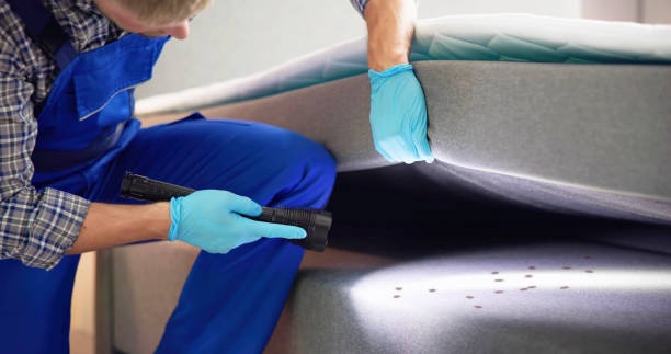 Best Local Pest Control Services  in Washoe Valley, NV